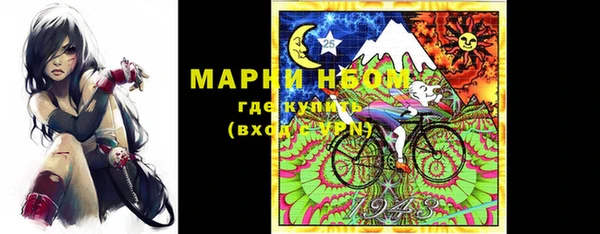 прущие грибы Слюдянка